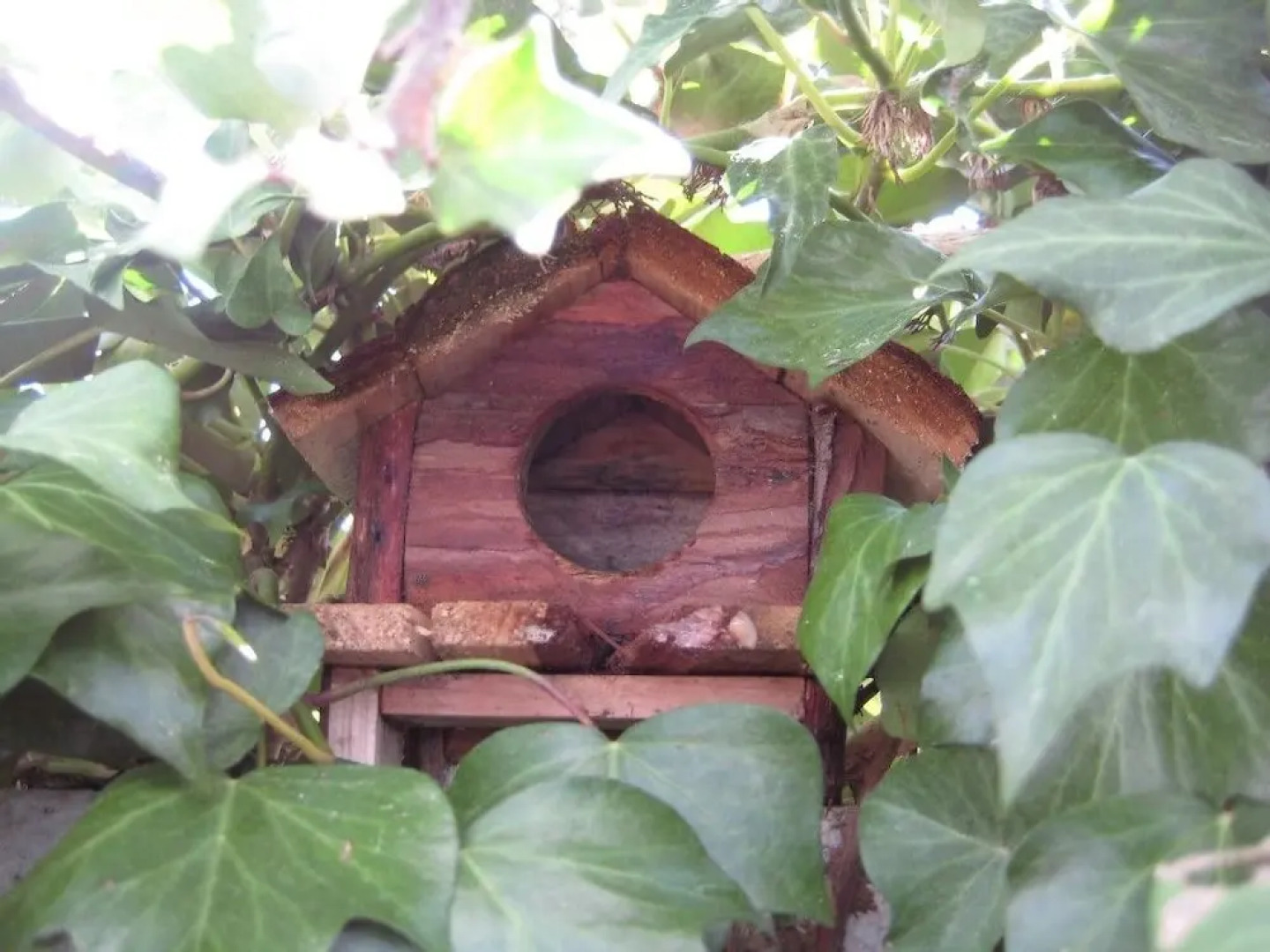 Mondariz 100633 3 Bedroom Holiday home By Mo Rentals