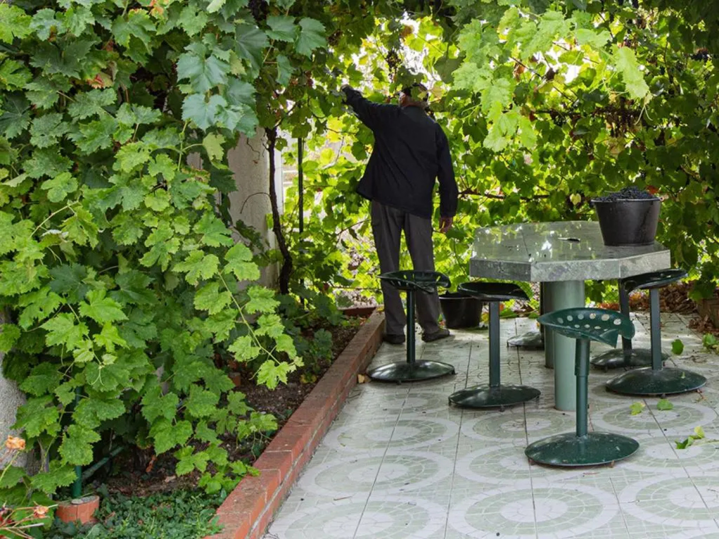 Gîte Chouzy-sur-Cisse, 5 pièces, 8 personnes - FR-1-491-38