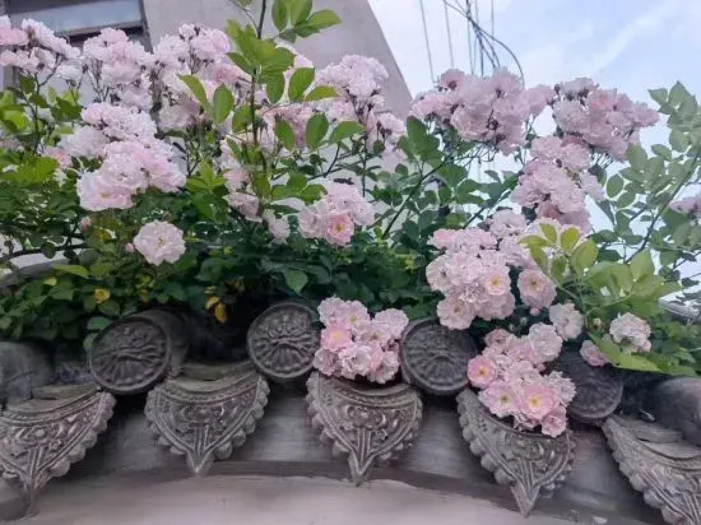 Tian Shun Court Hotel