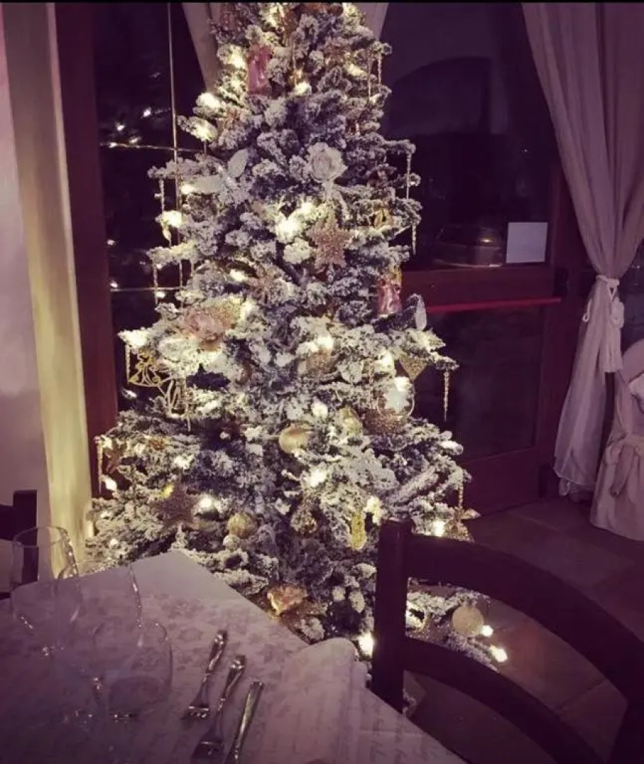 Sui Passi di Francesco