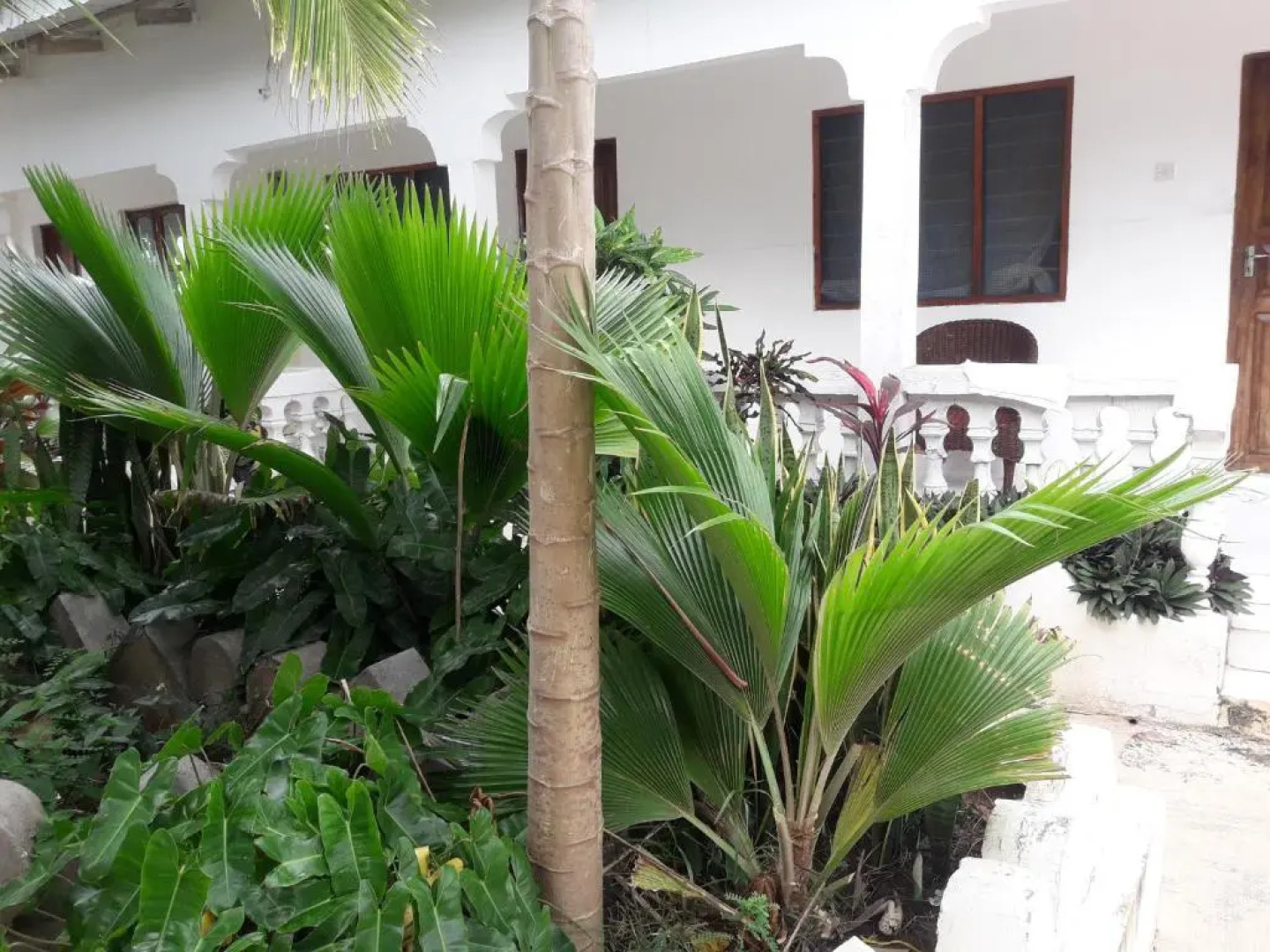 Ebony & Ivory Beach Bungalows