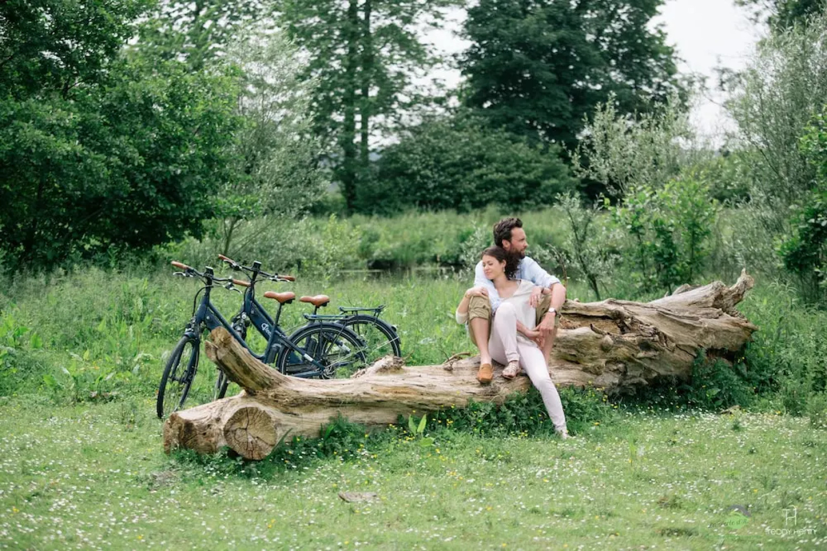 Les Aires en Scènes