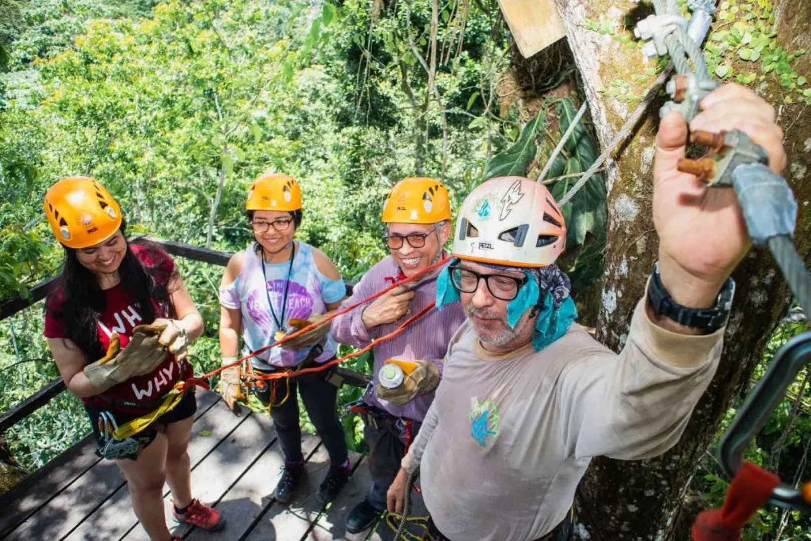Avatar Amazon Lodge & Canopy Park