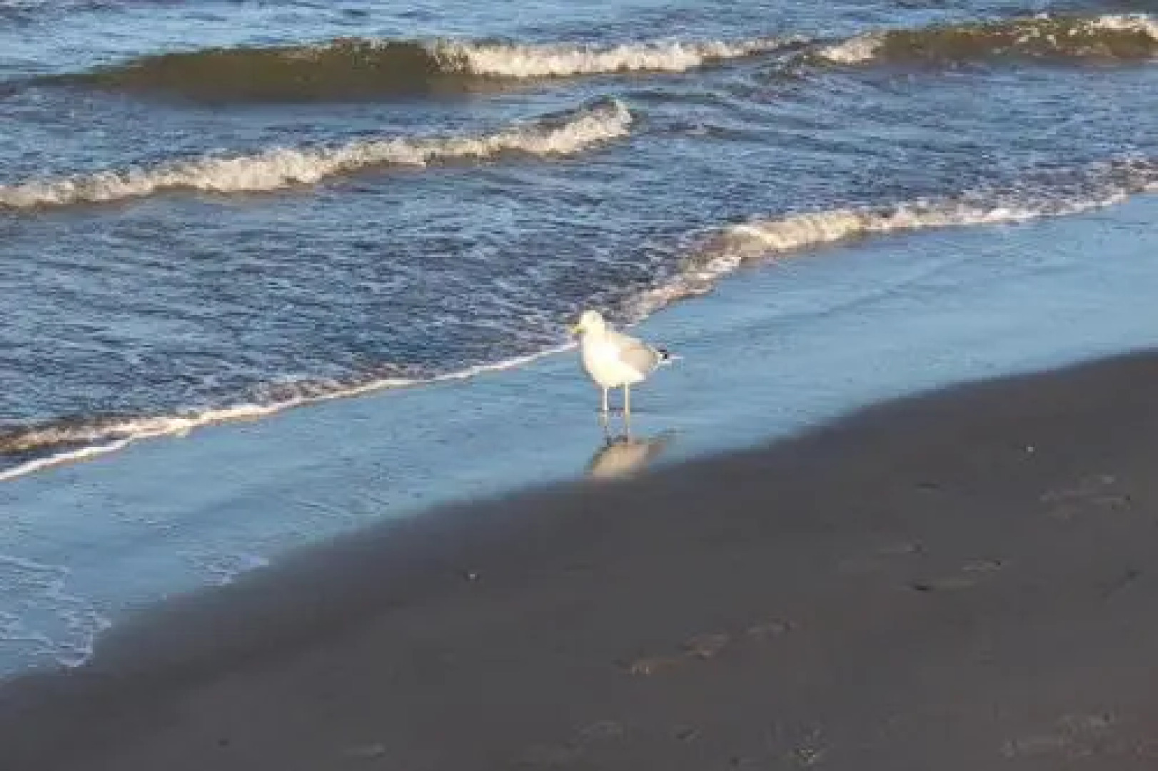 Wohnung Bernstein - Nr. 4