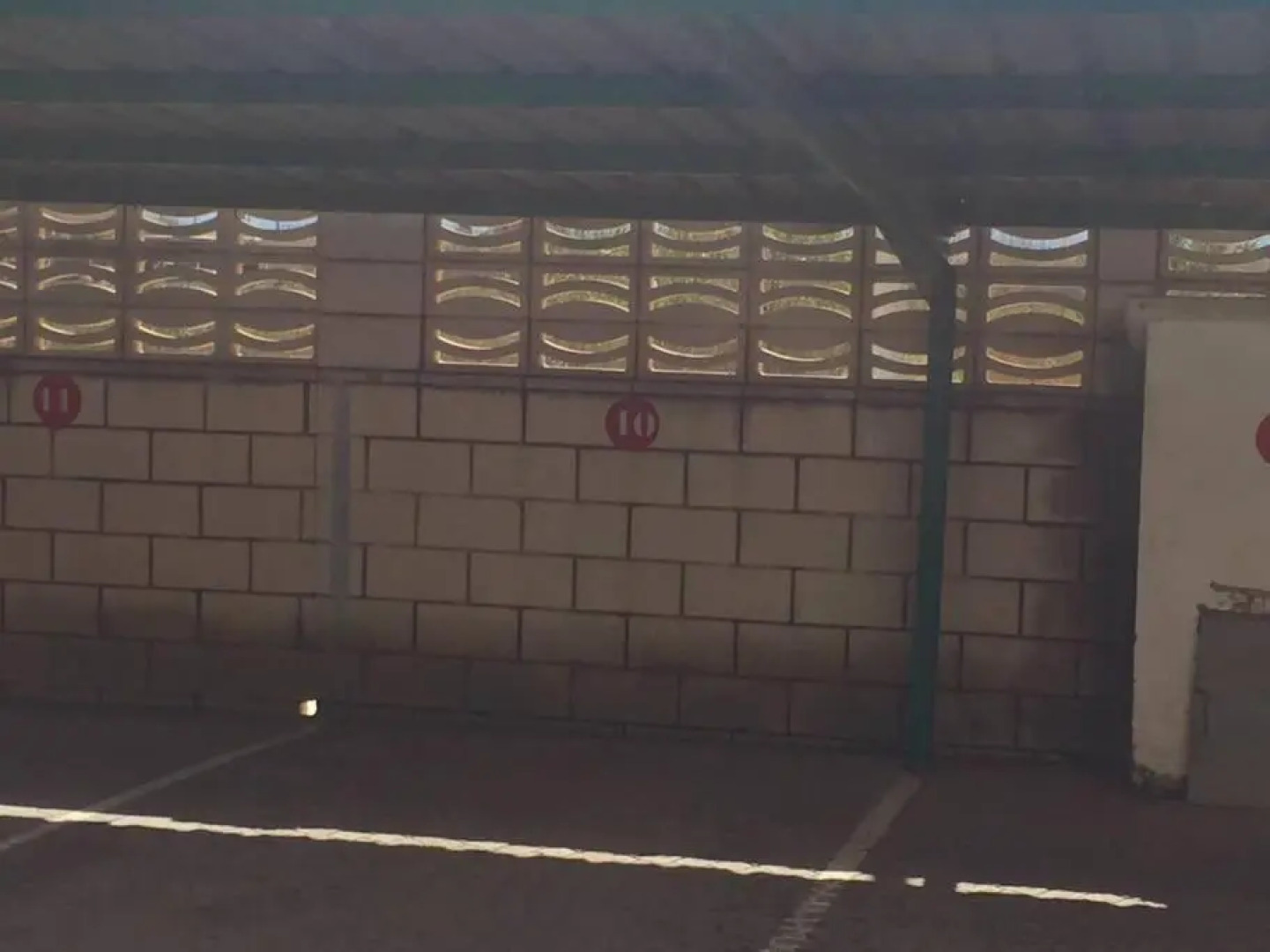 .Apartamento 1a linea de playa + piscina + parking DAIMUS