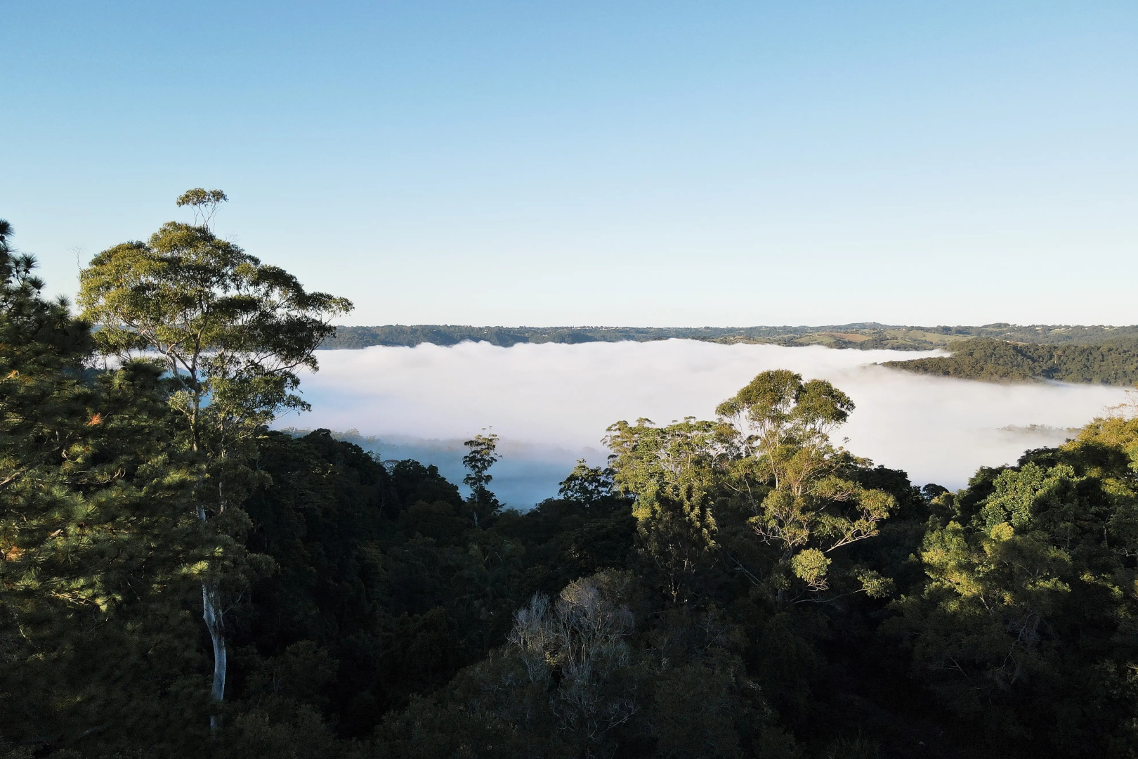 Misty View Cottages Montville
