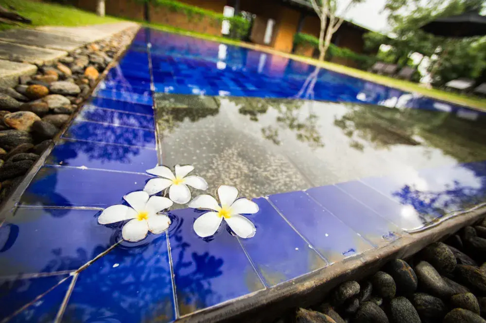 Mirissa Hills Resort