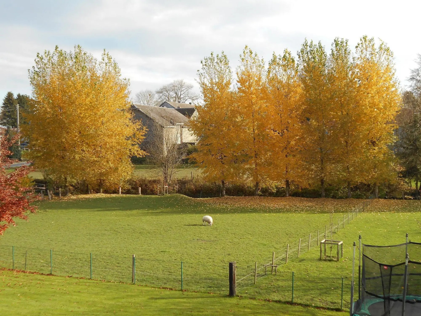 Spacious Holiday Home Near Bastogne