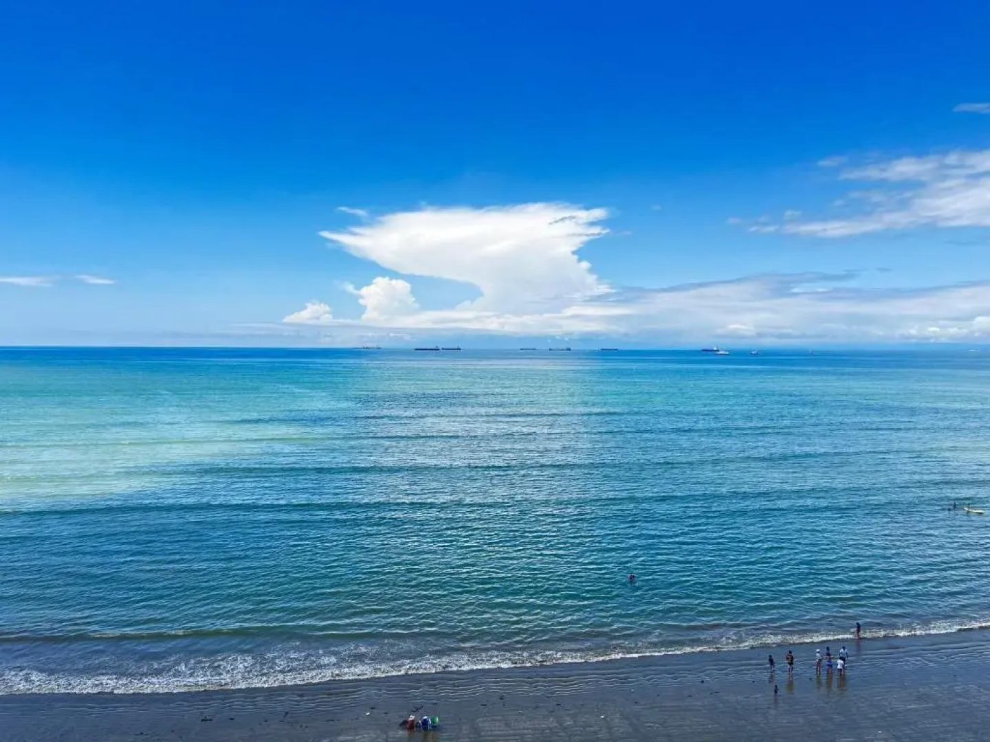 Departamento en Torre Oceanica