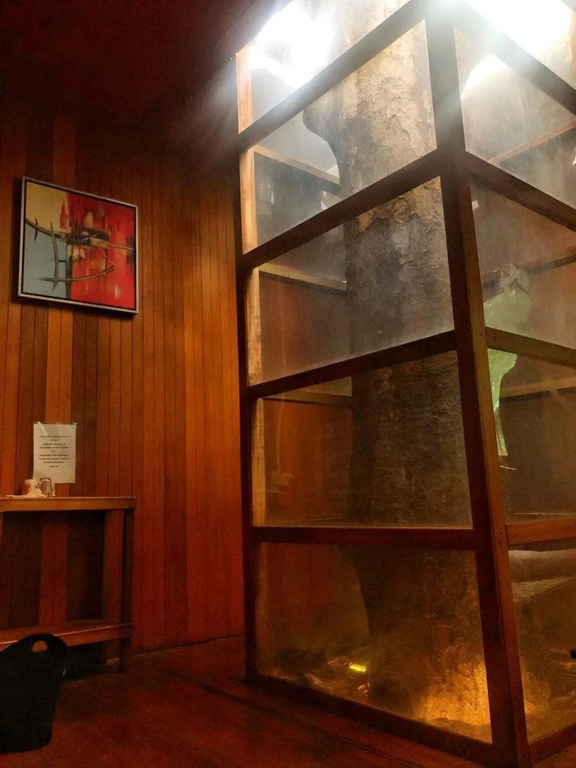 The Roots Eco Resort