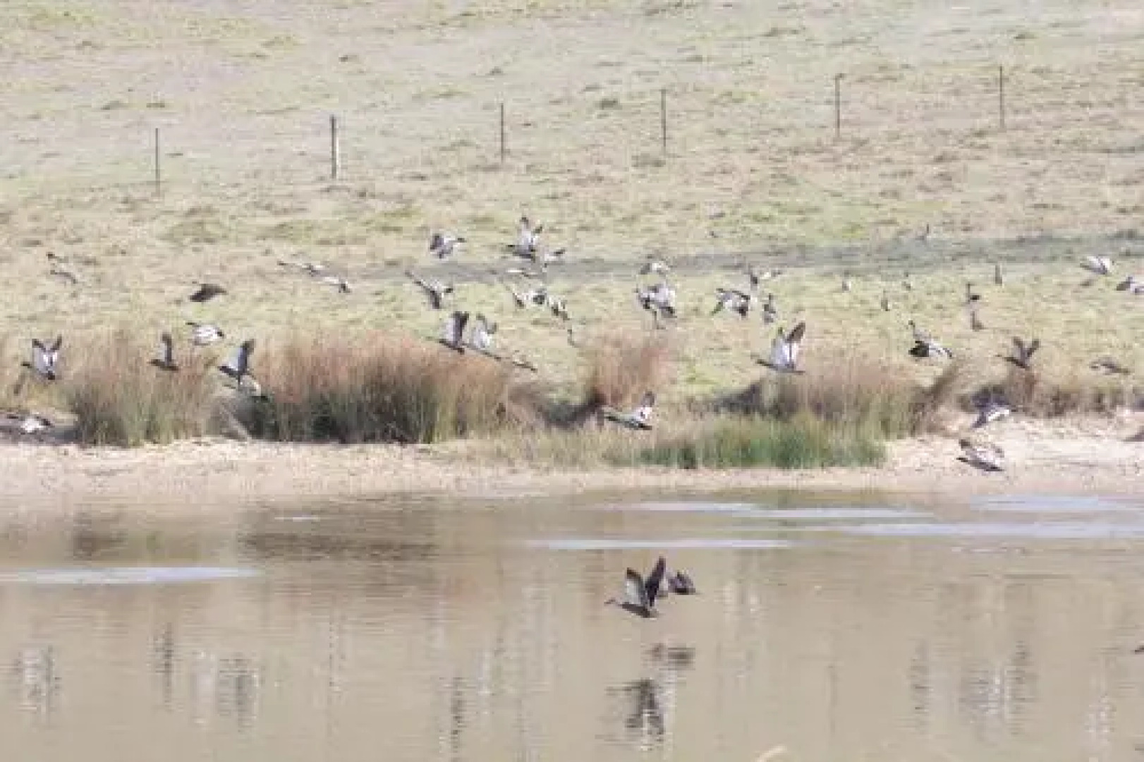 Jamieson Valley Retreat