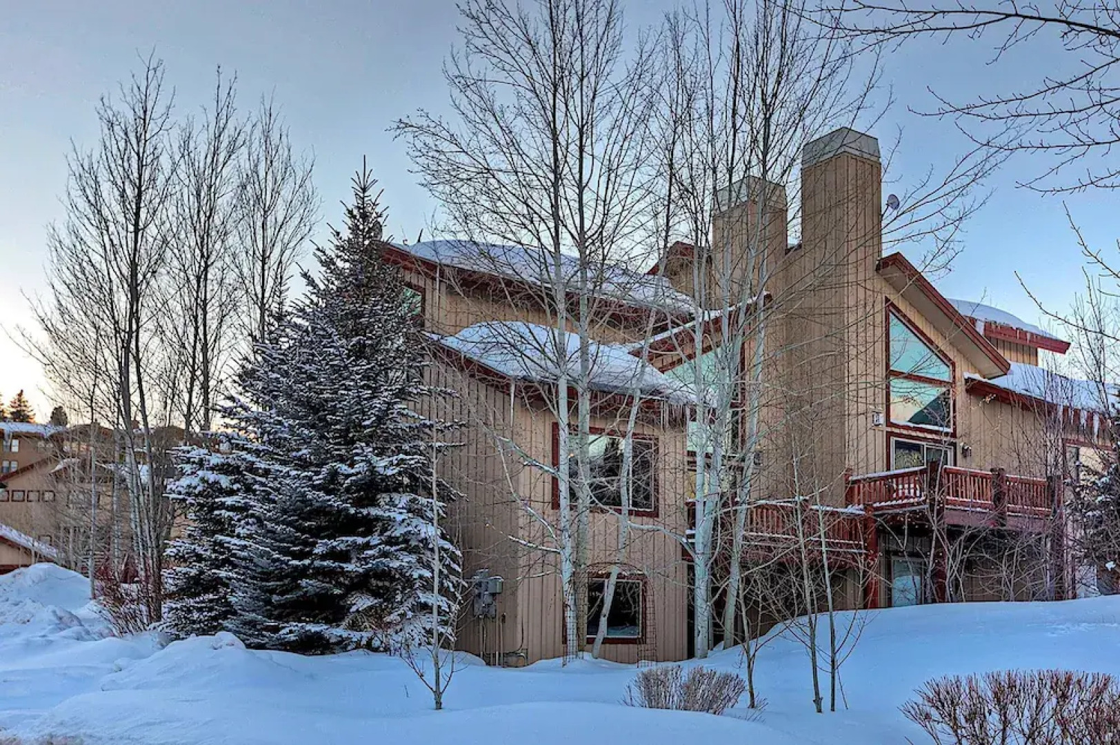 Park City Snow Flower