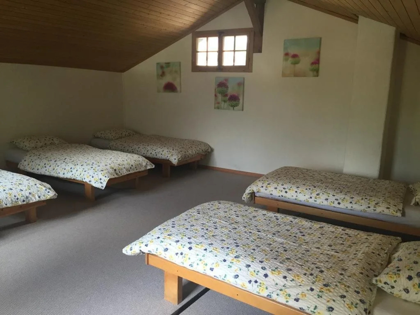 Hostel Schützenbach Backpackers