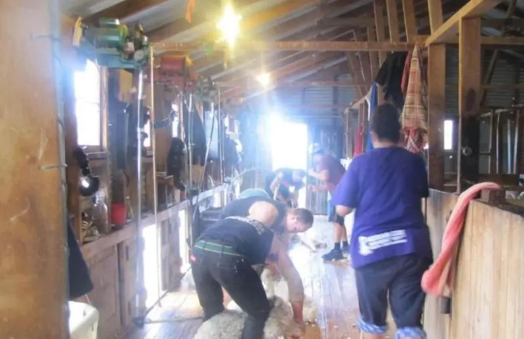 Dunstan Downs High Country Sheep Station