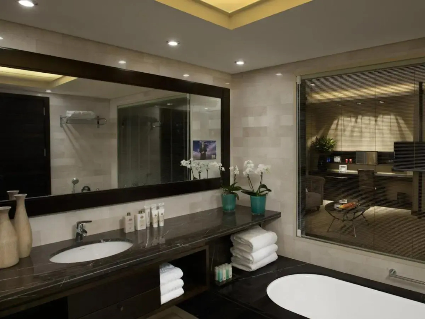 The Dan Carmel Hotel