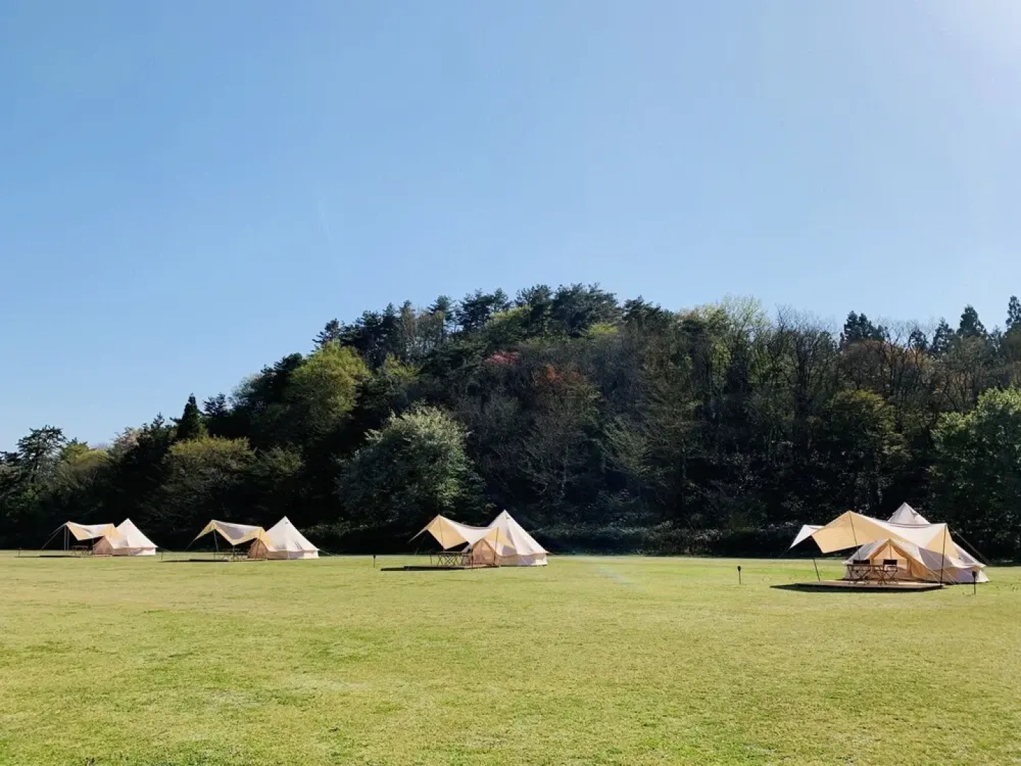 Wondertrunk Experience Sanbe - Glamping