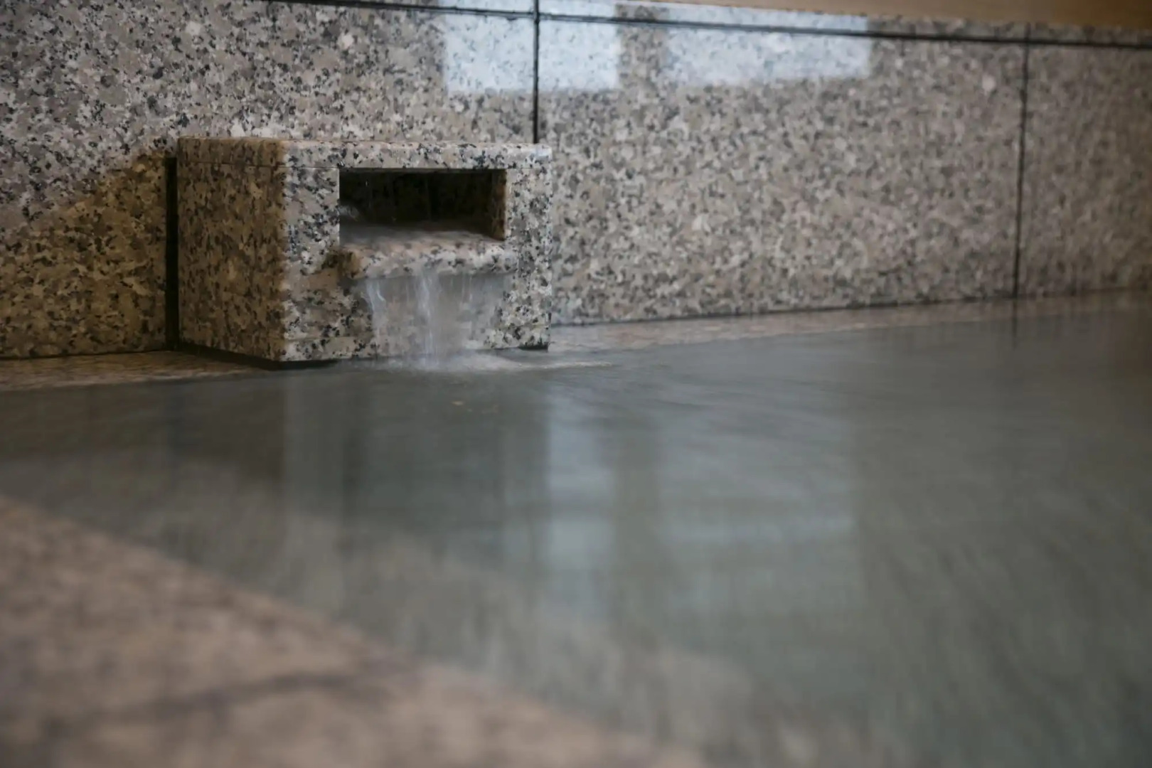 Business Hotel Kosanagi