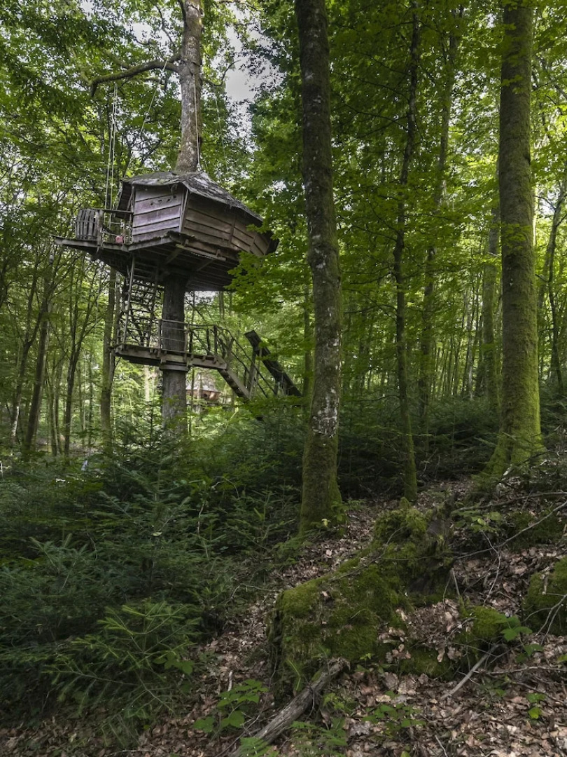 L'Arbre à Cabane