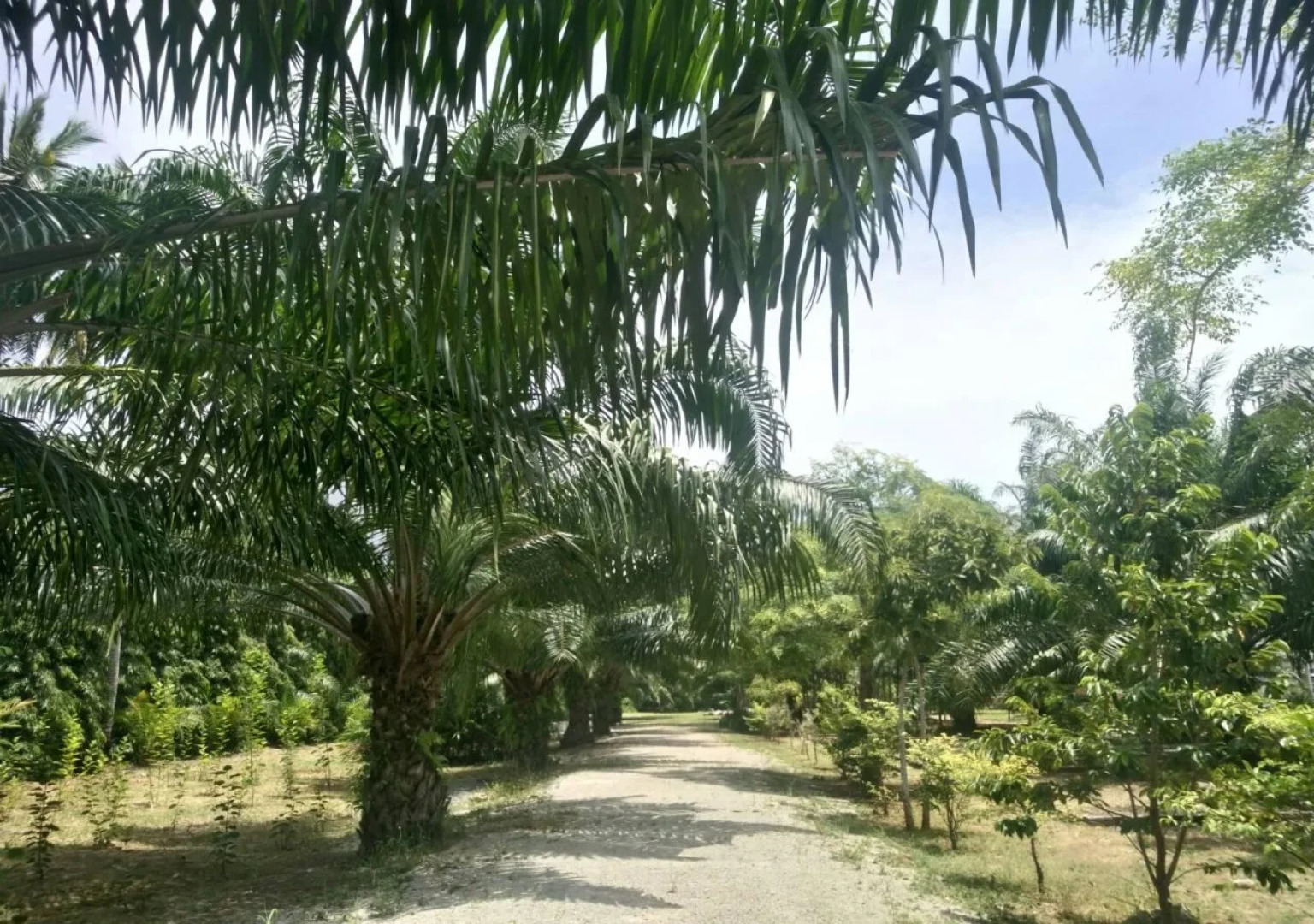 Baan Suan Nam Resort