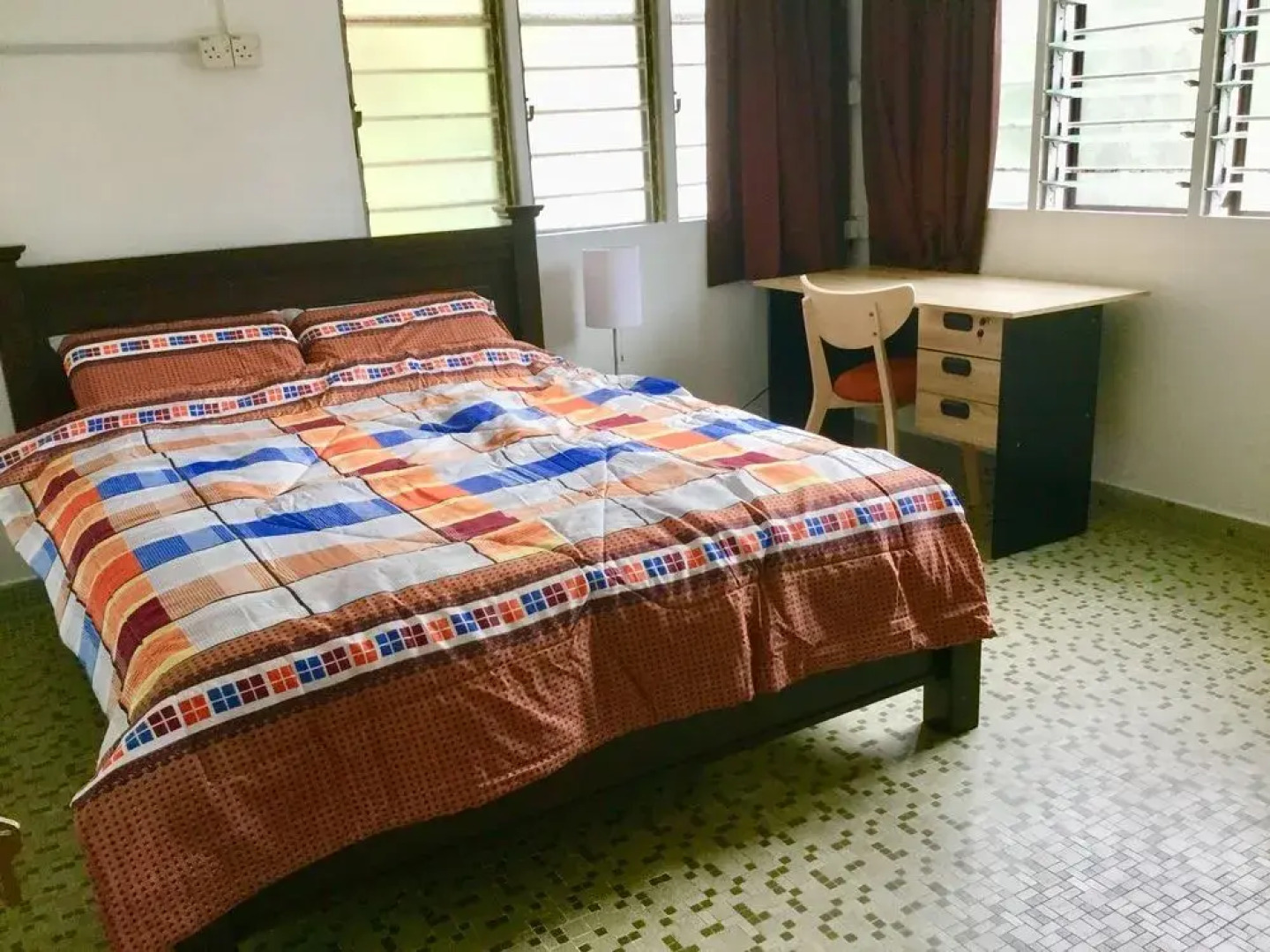 Sea Lion by the Beach