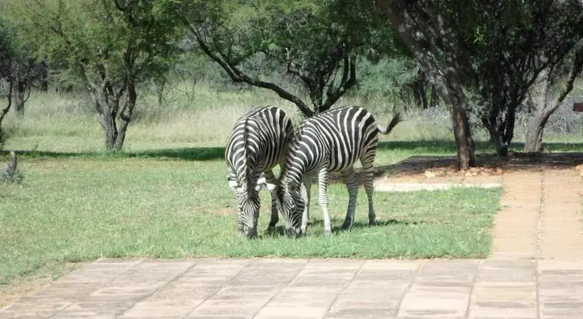 Leopardsong Game Lodge