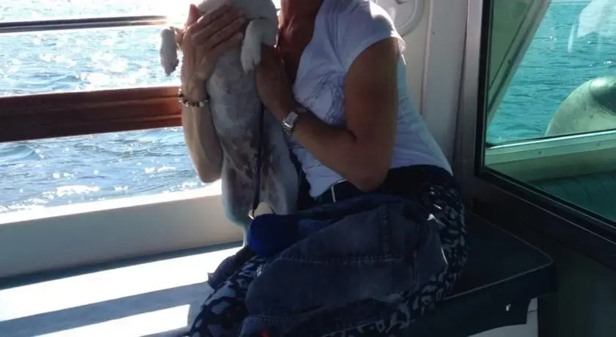 Bed and breakfast la Stella