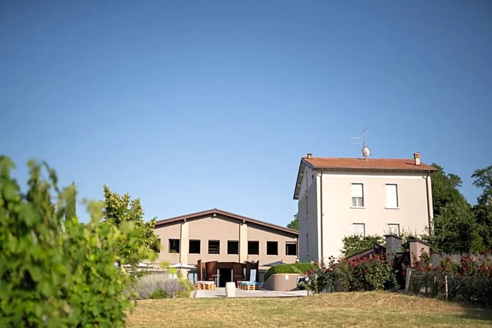 Oinoe La Città del Vino