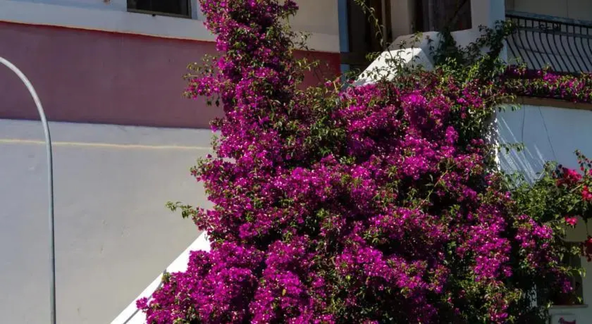 Bed and Breakfast Lola