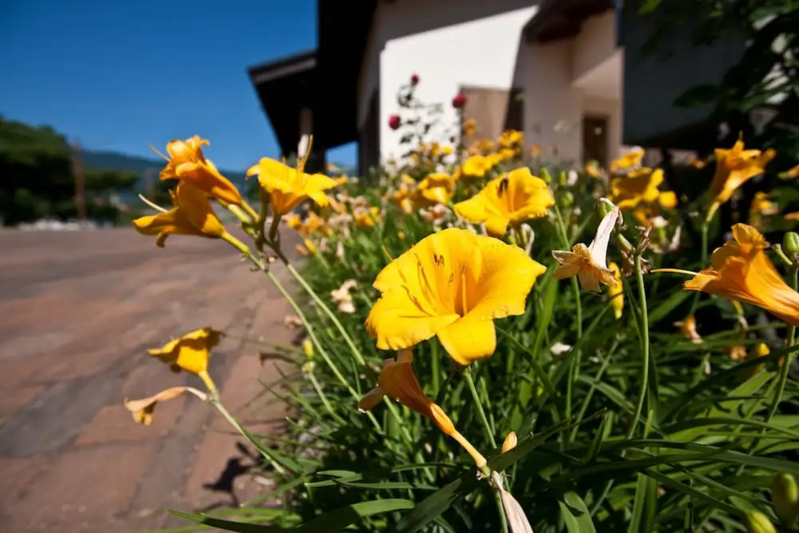 Alle Vigne Bed and Breakfast