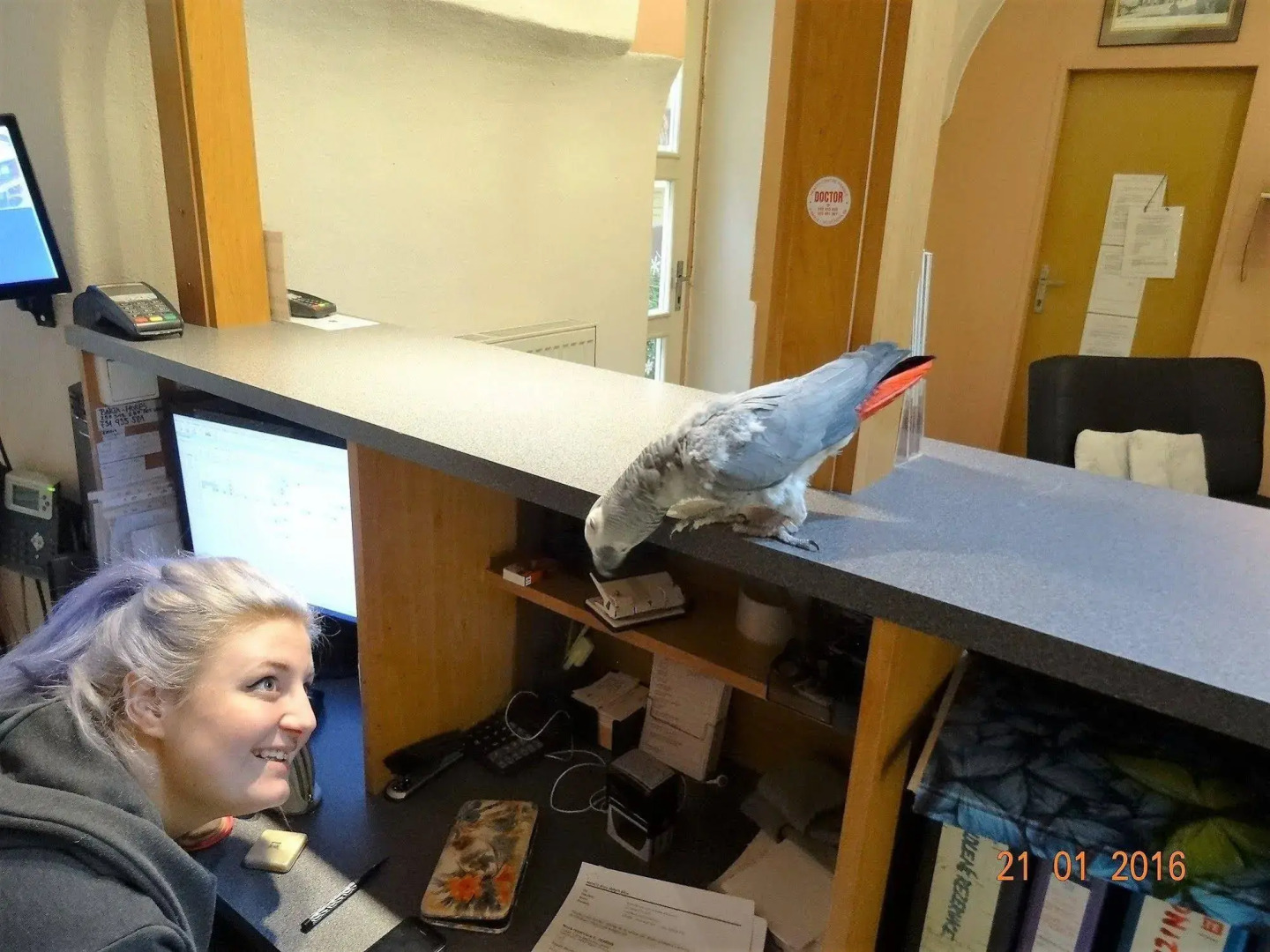 U Dvou Zlatych Klicu