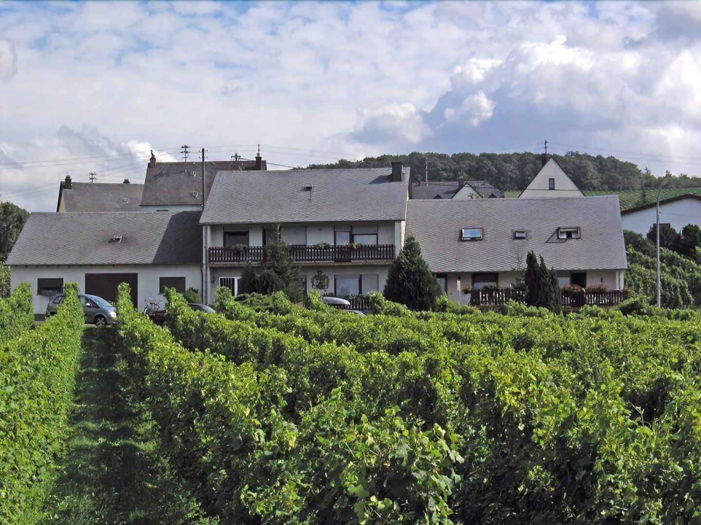 Pension und Weingut Moselblick