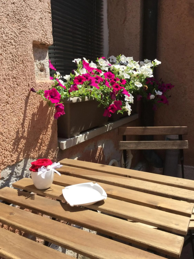 Отель Ariel Silva