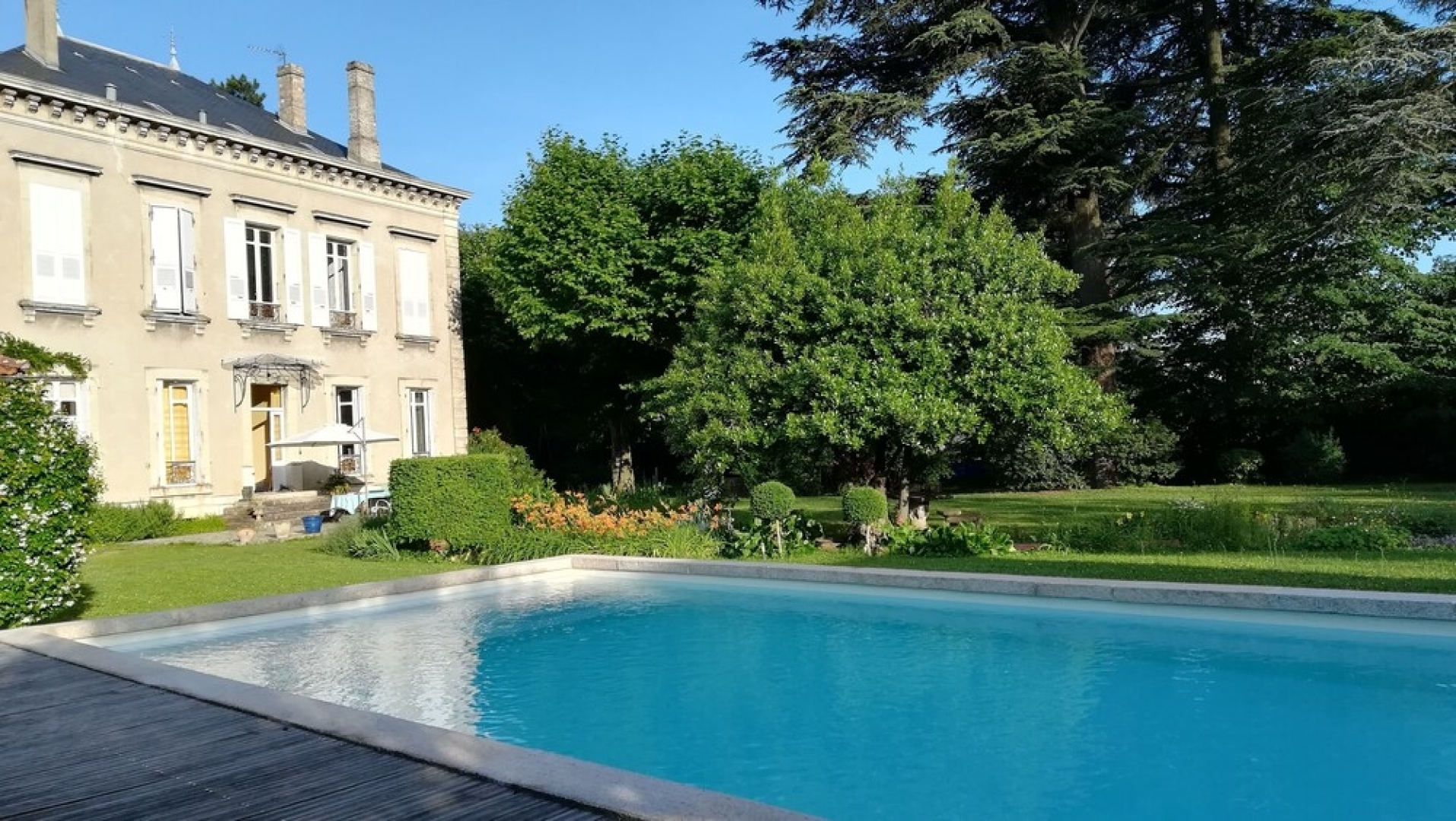 Les palmiers de mauves