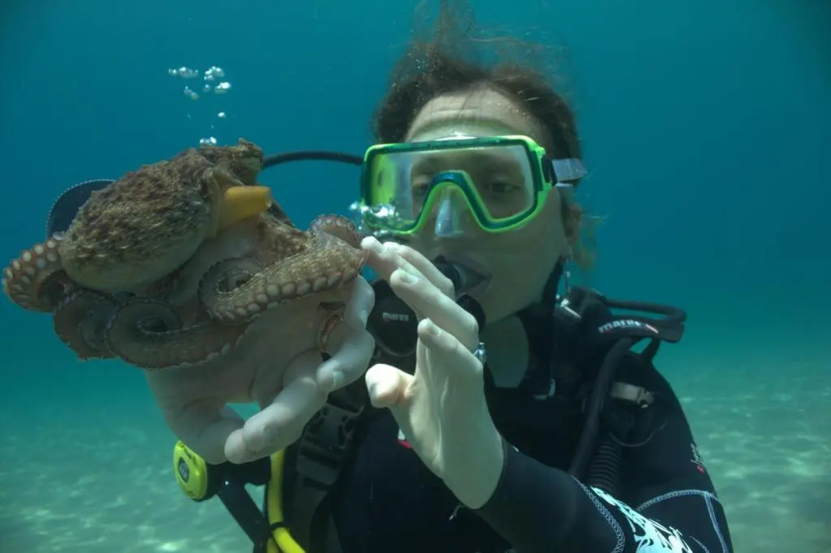 Il Castello di Modolo