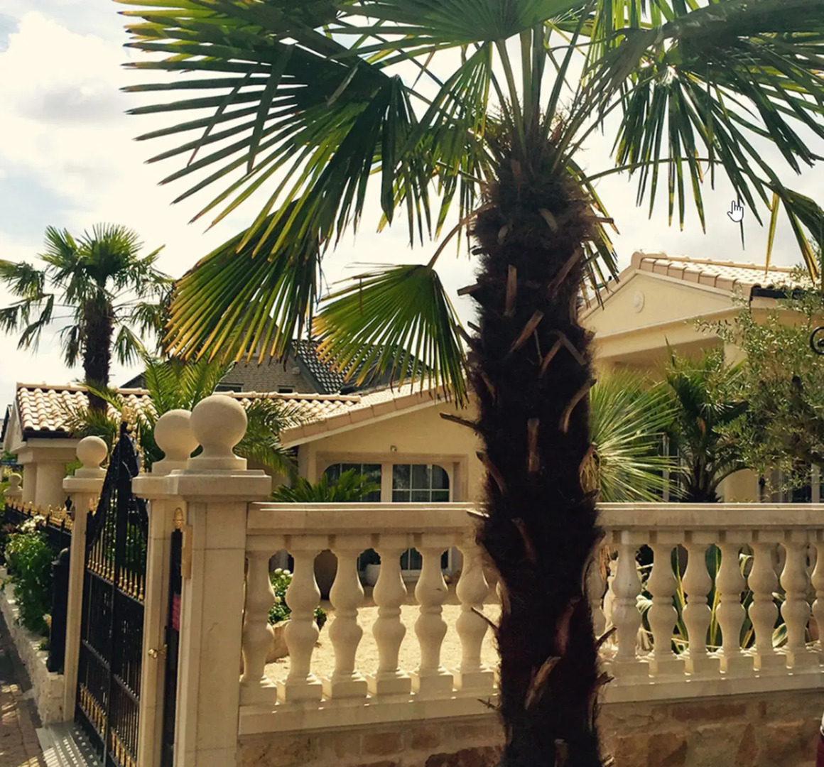 Wilsmann Apartmentvermietung