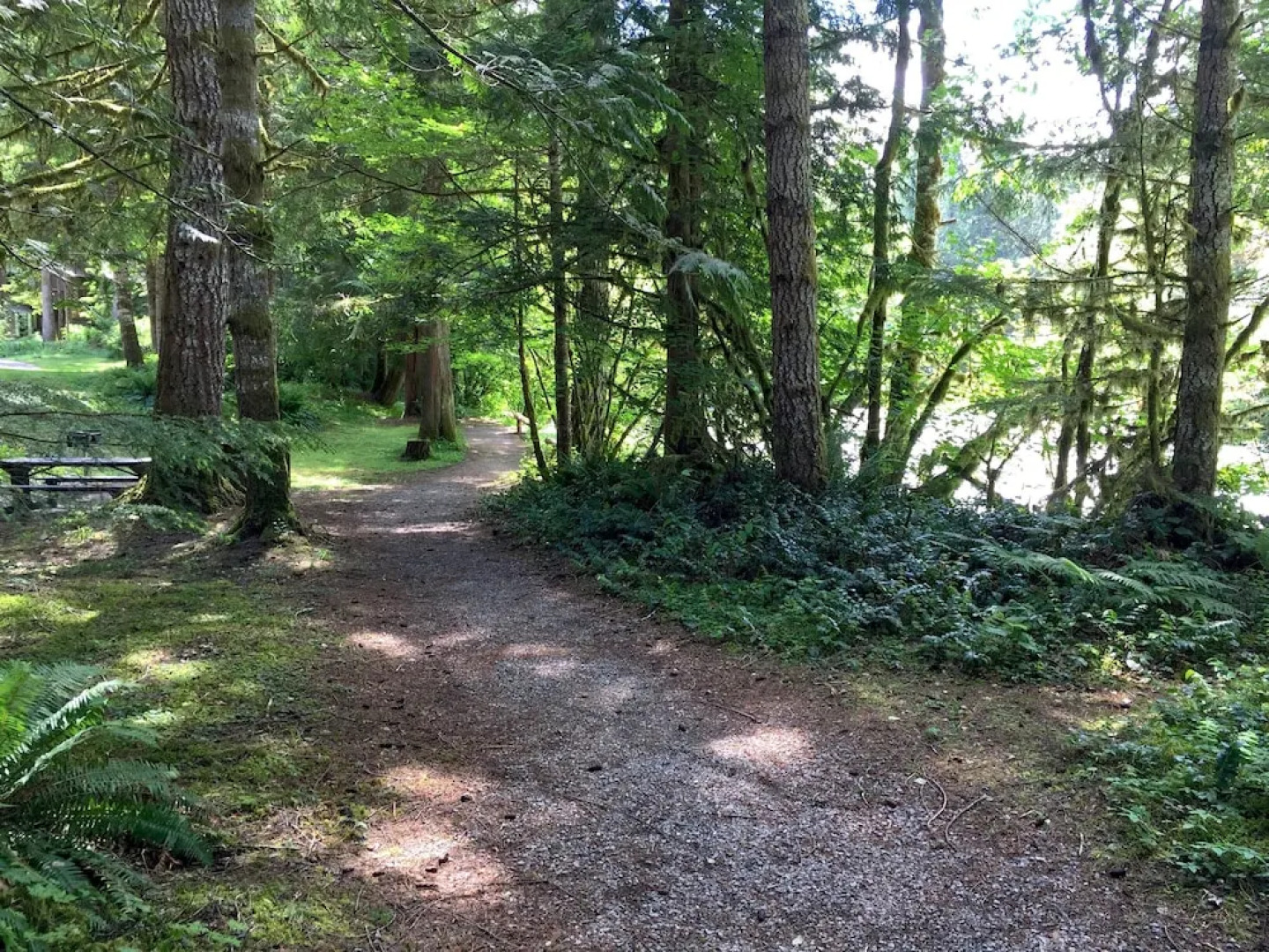 68SW - Fireplace - Washer/Dryer - Dishwasher- Sleeps 4