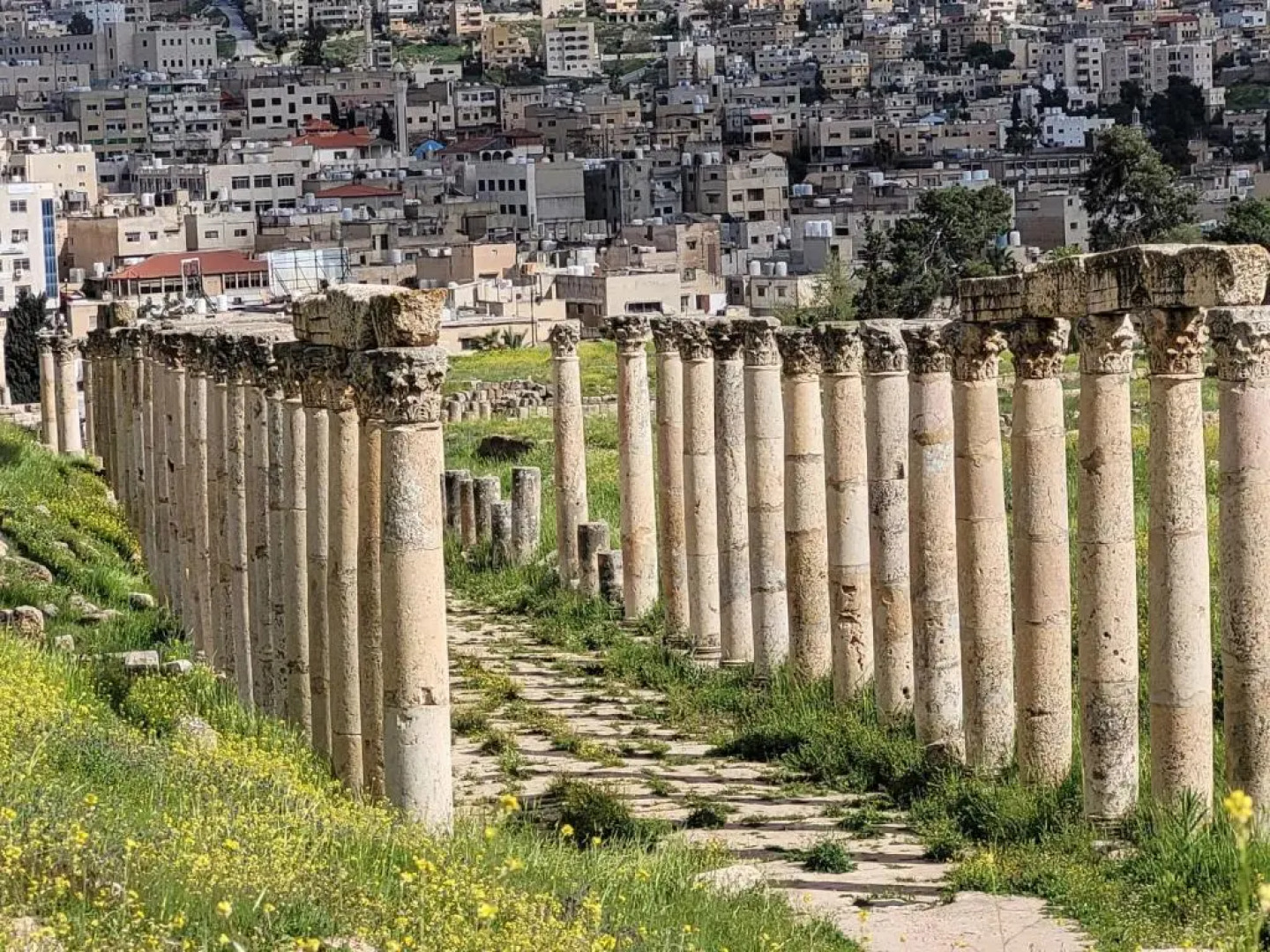 بيت الطبيعة nature house