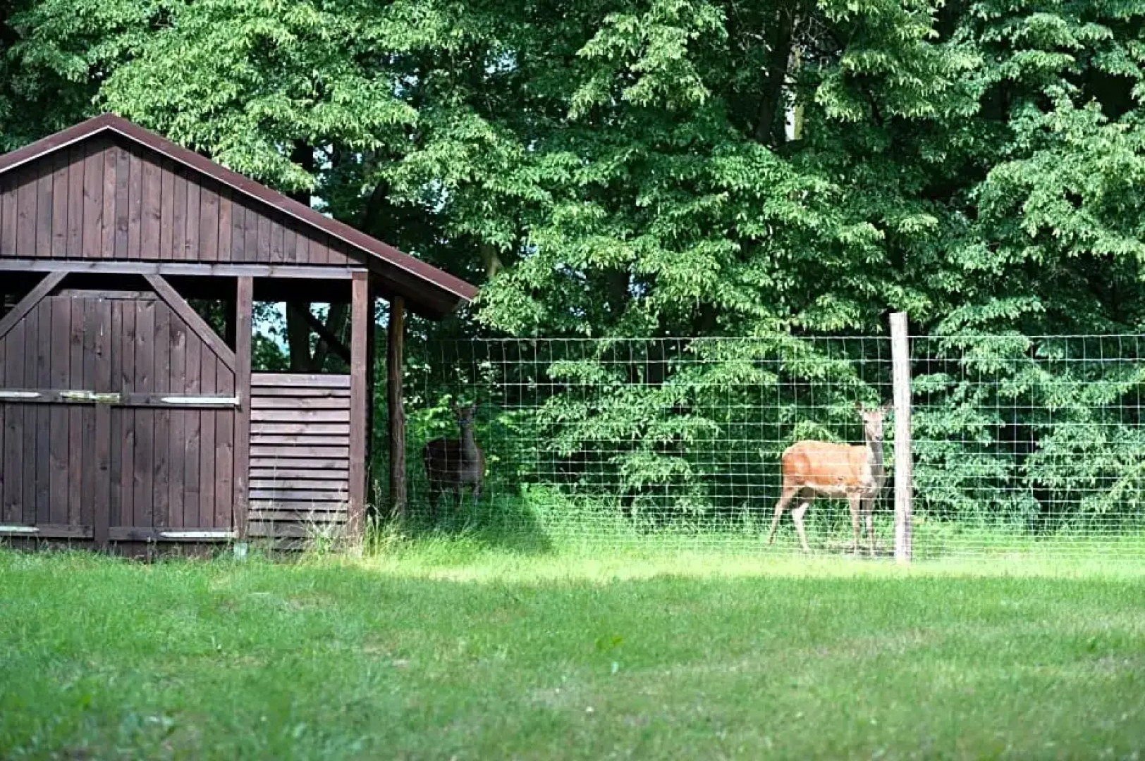 Zajazd Pod Szyszkami
