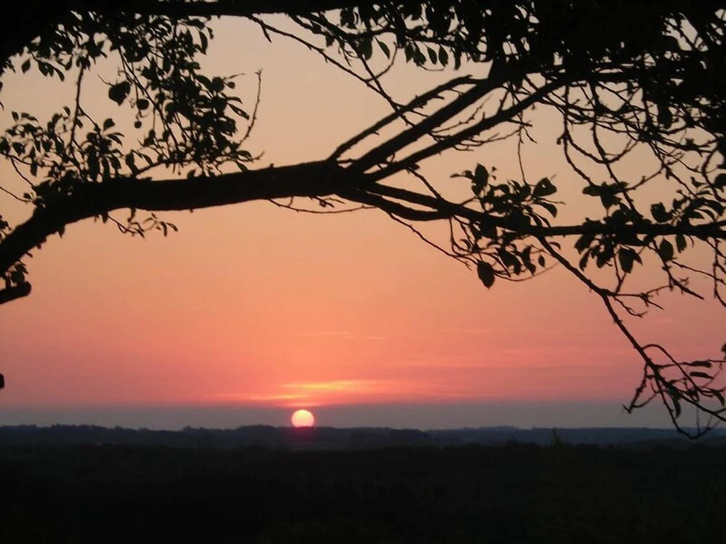 Chambres d'Hôtes Belliette
