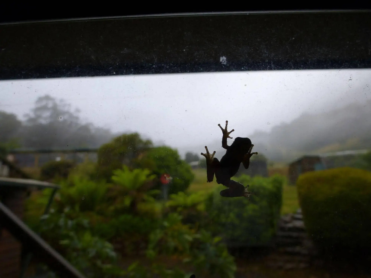 Silver Ridge Retreat