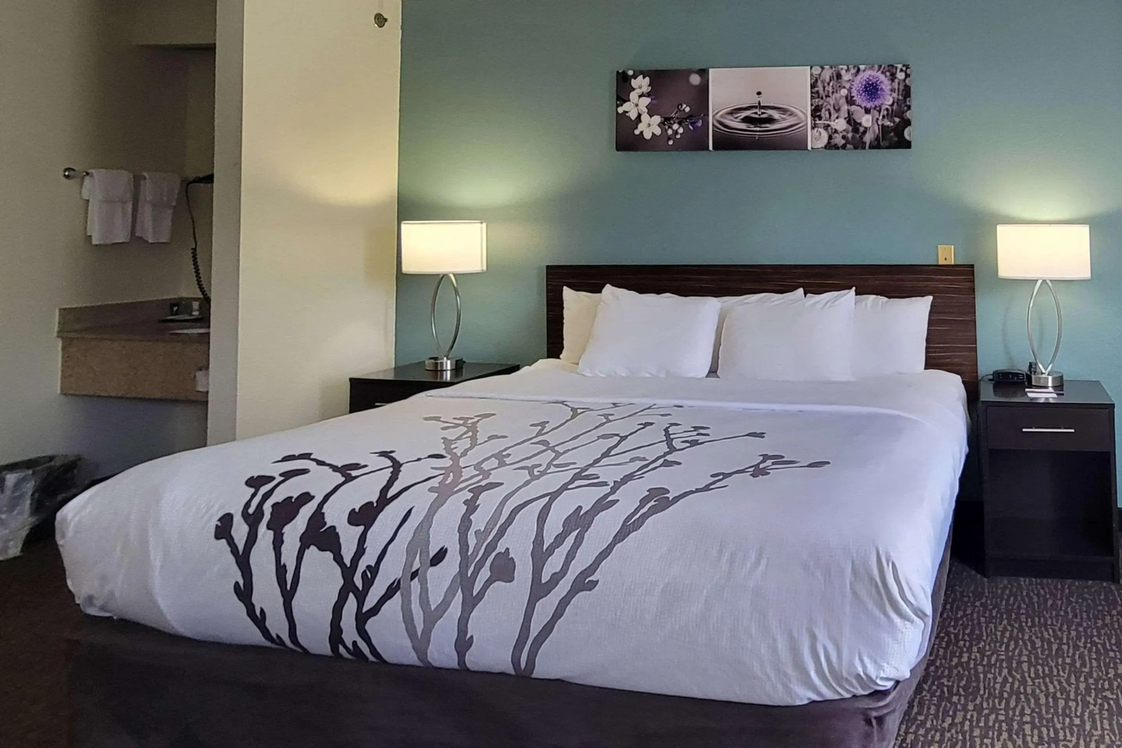 Sleep Inn Bessemer Helena