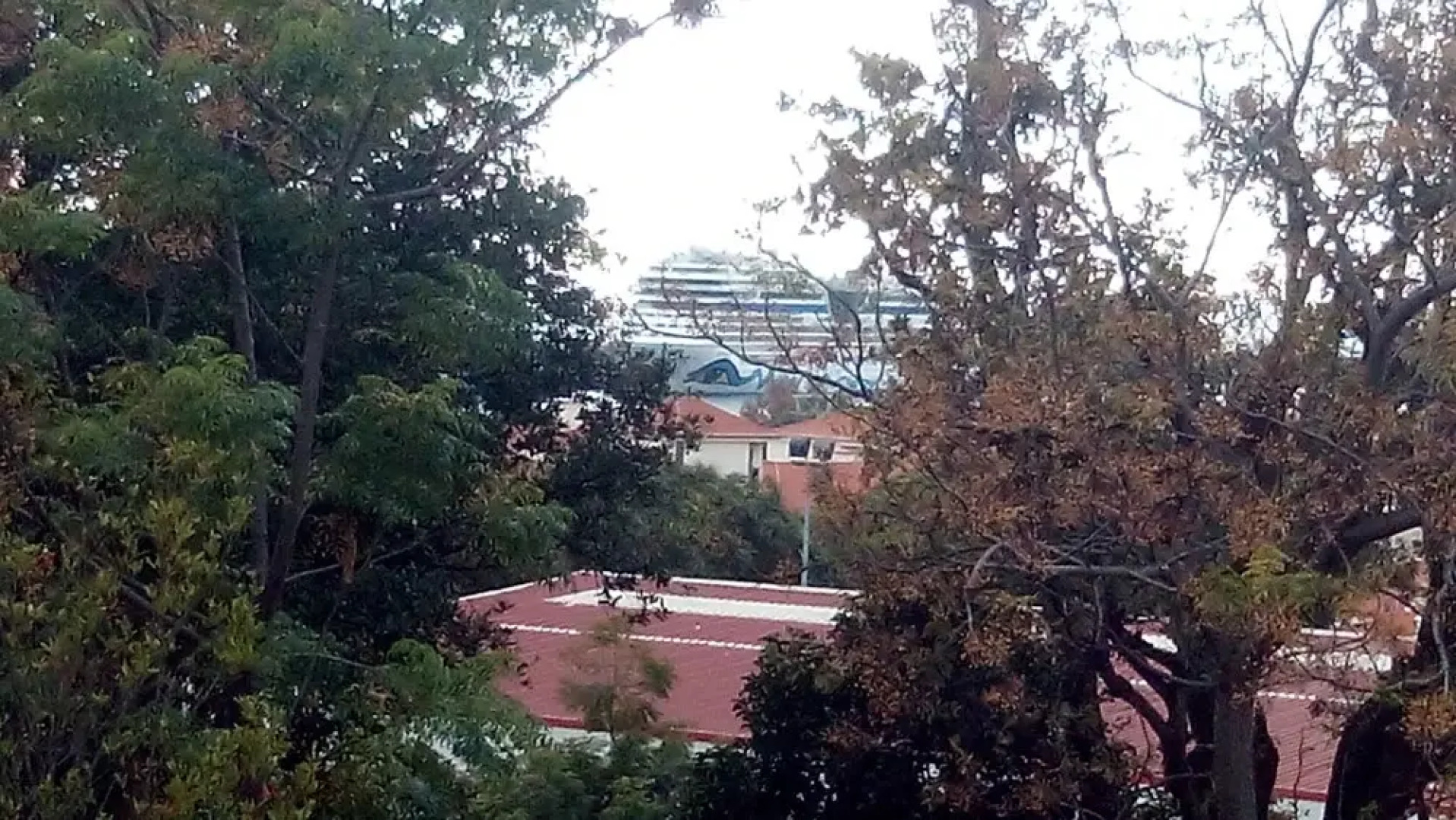 Sweet Home Funchal Center