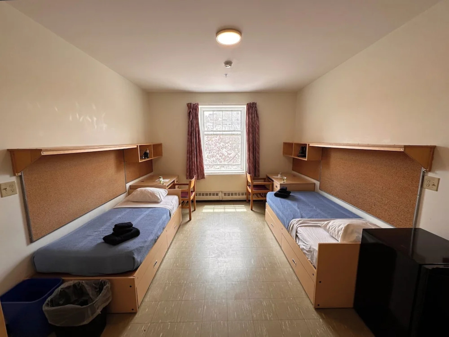 University of King's College