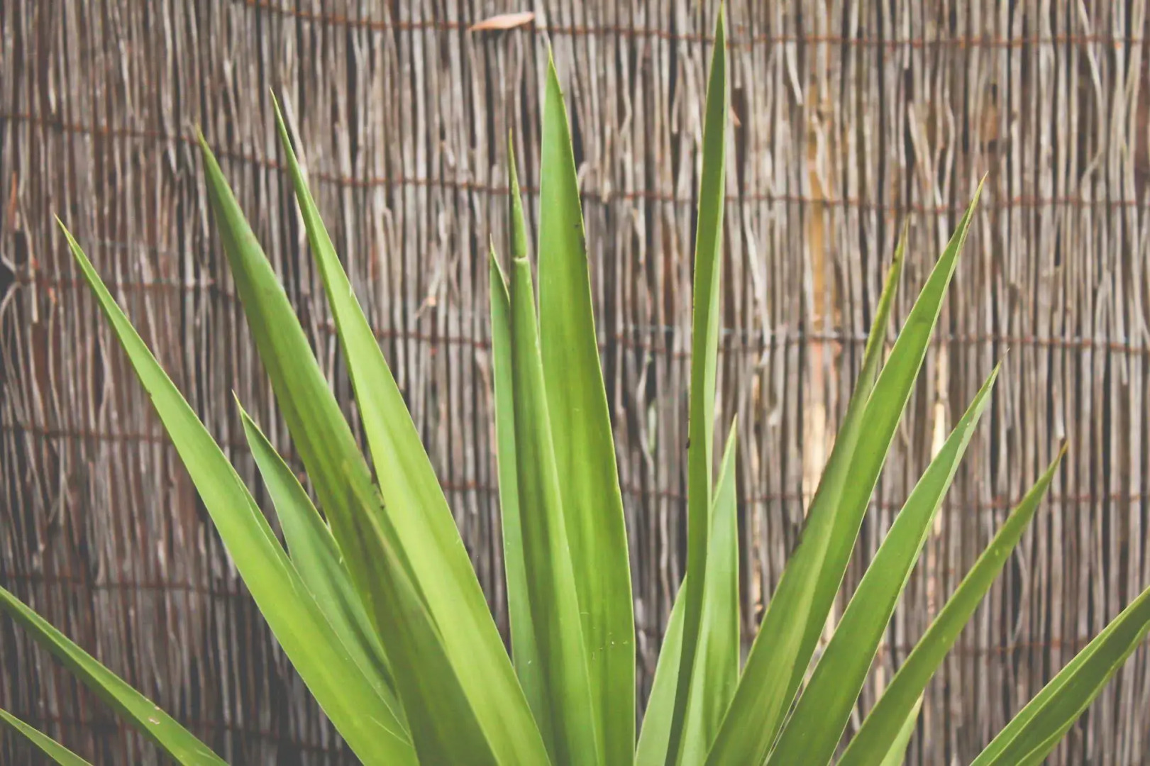 Yallingup Forest Resort