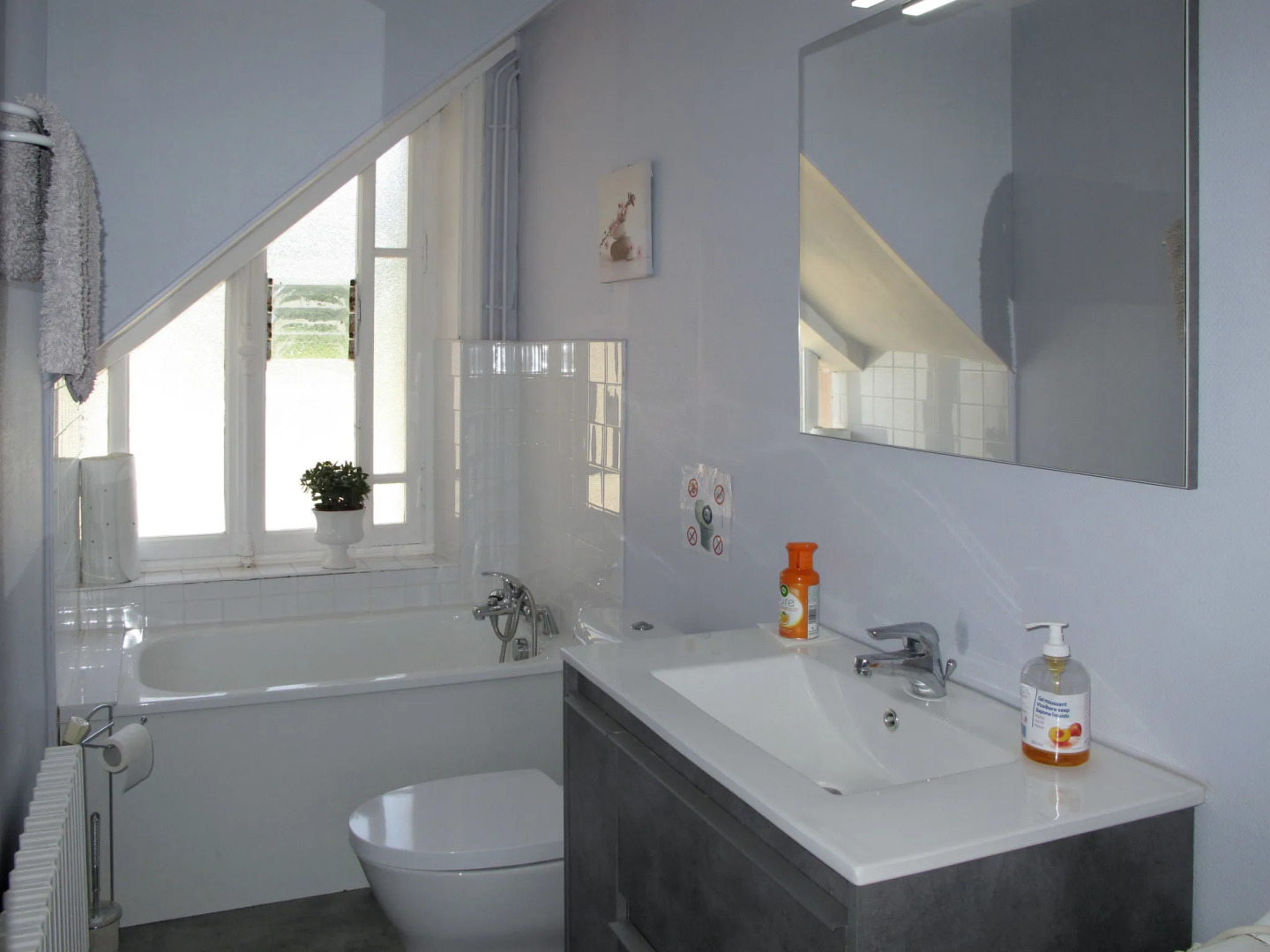 Le Domaine du Vasouy (CVX400)