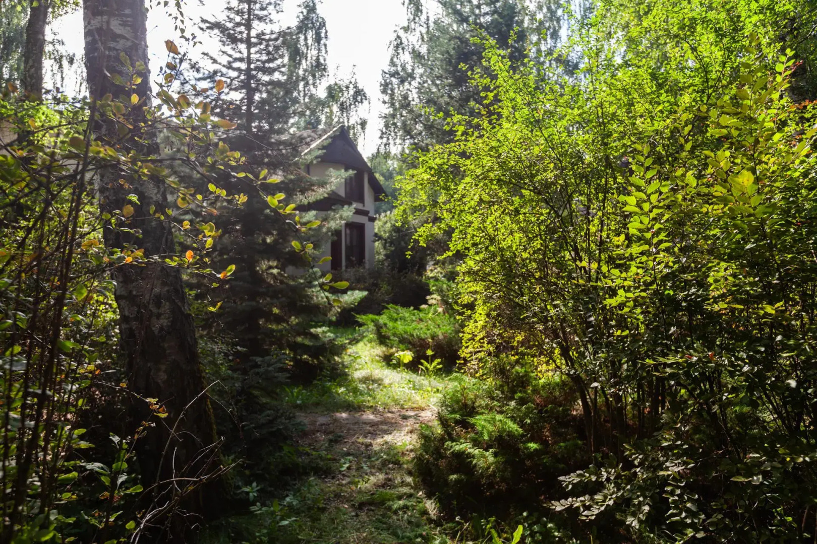 Дом Звезда 2000