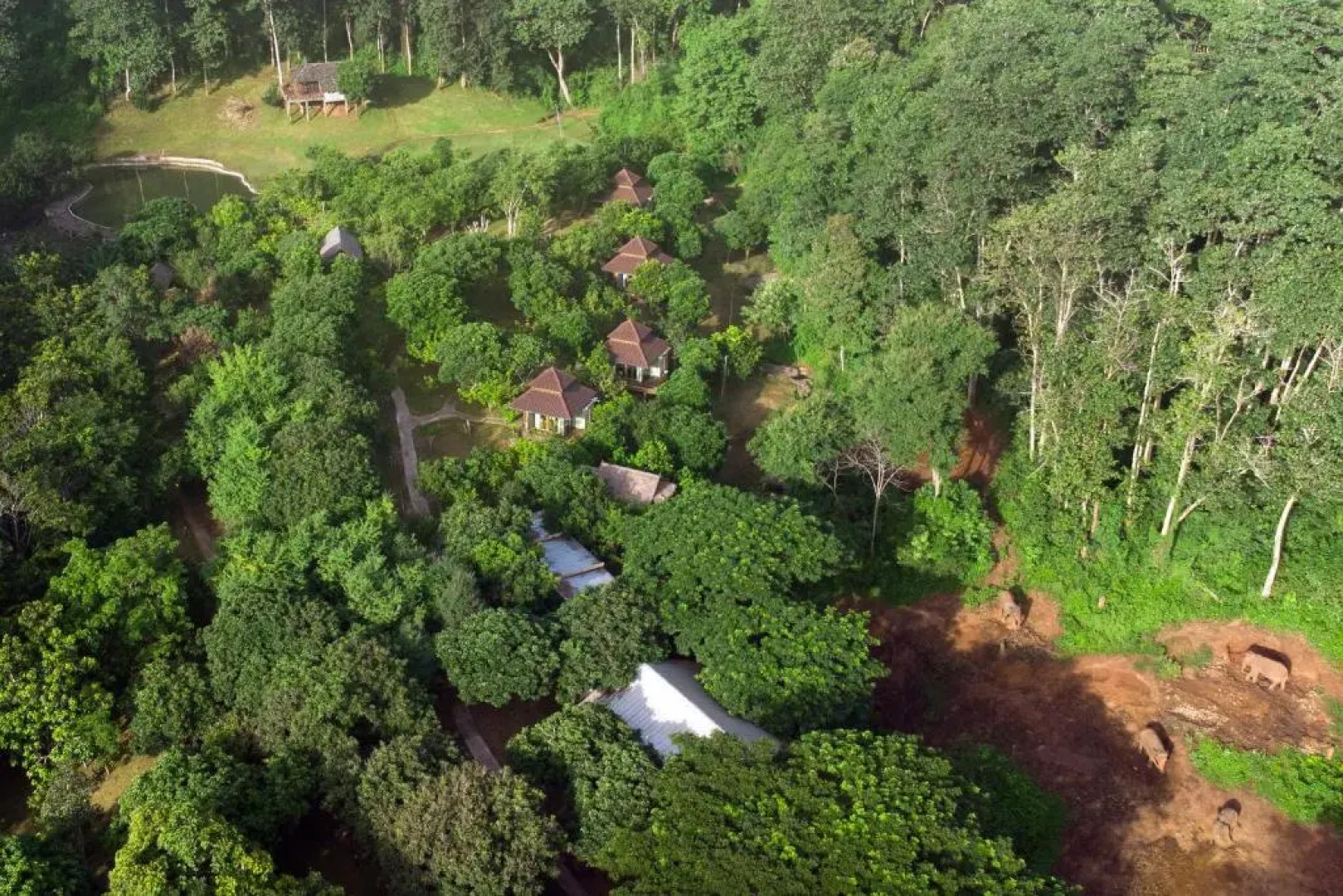 Tawan Riverside - Elephant Resort