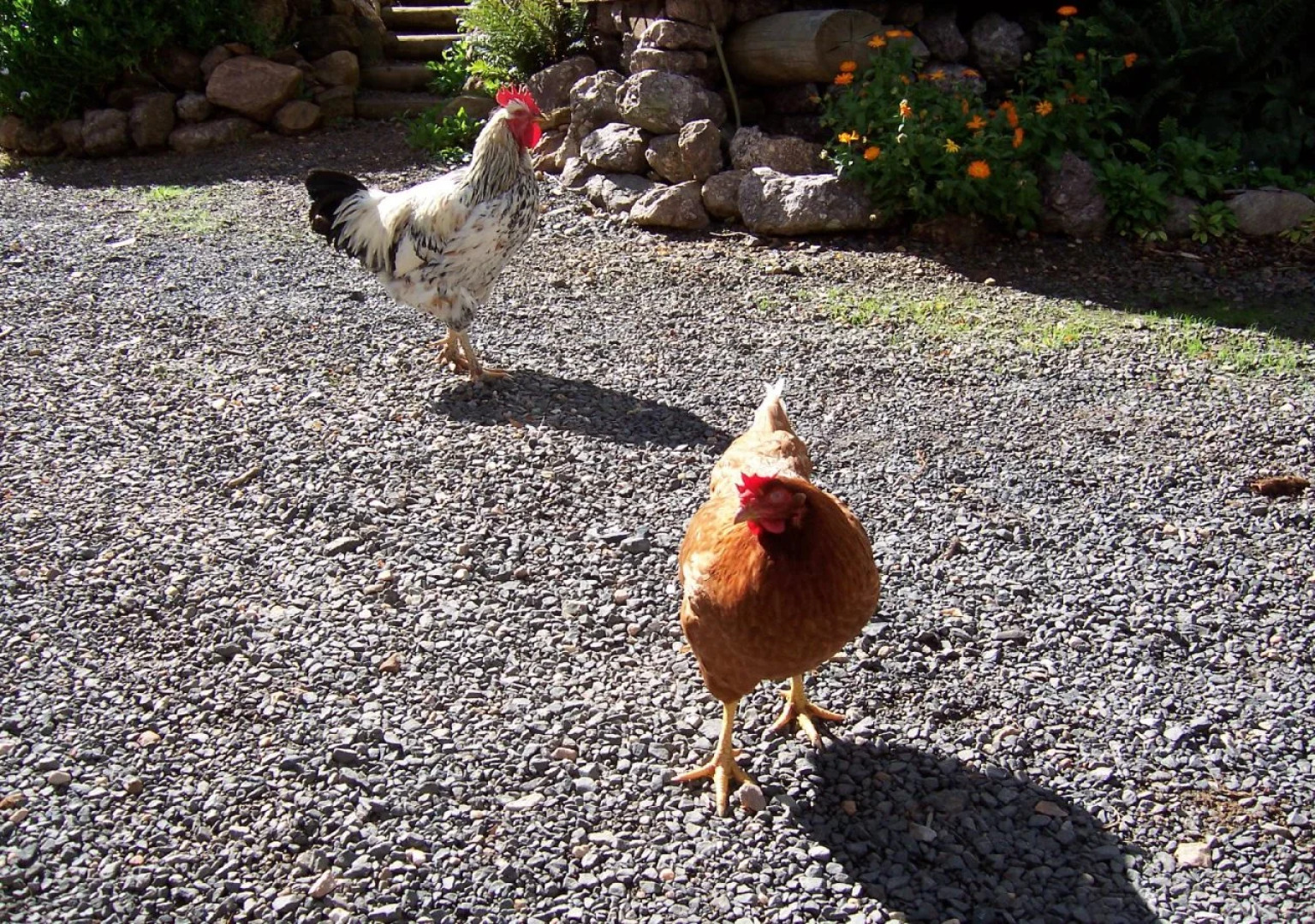 Silver Ridge Retreat