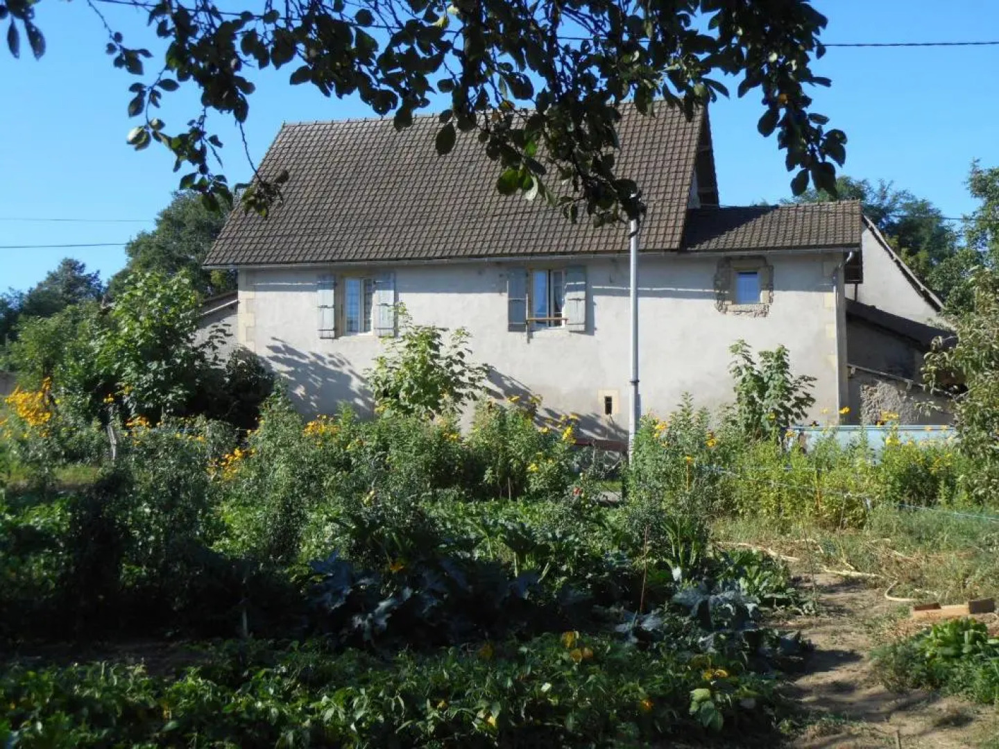 Gîte à la ferme