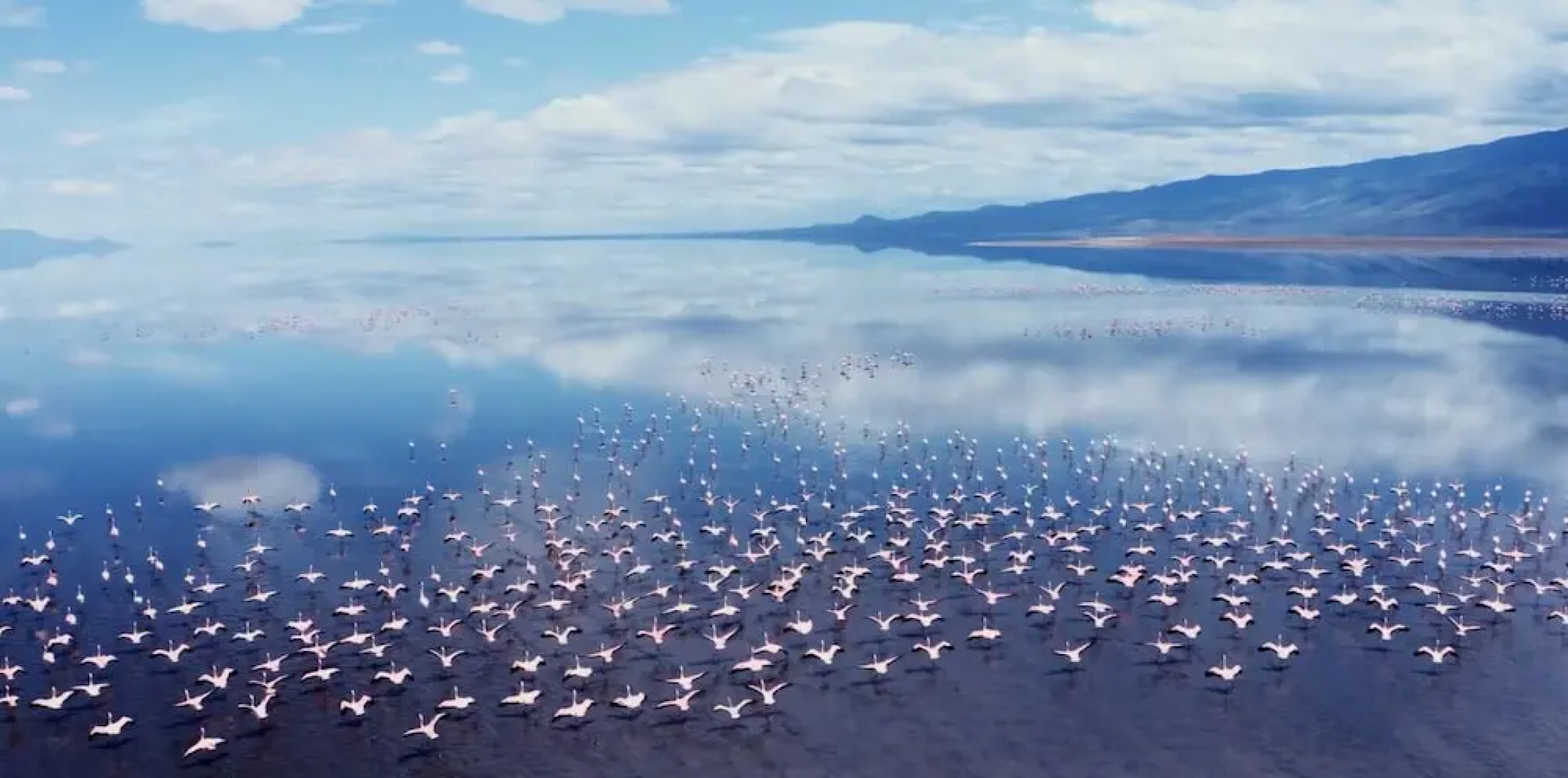 Africa Safari Lake Natron Camping